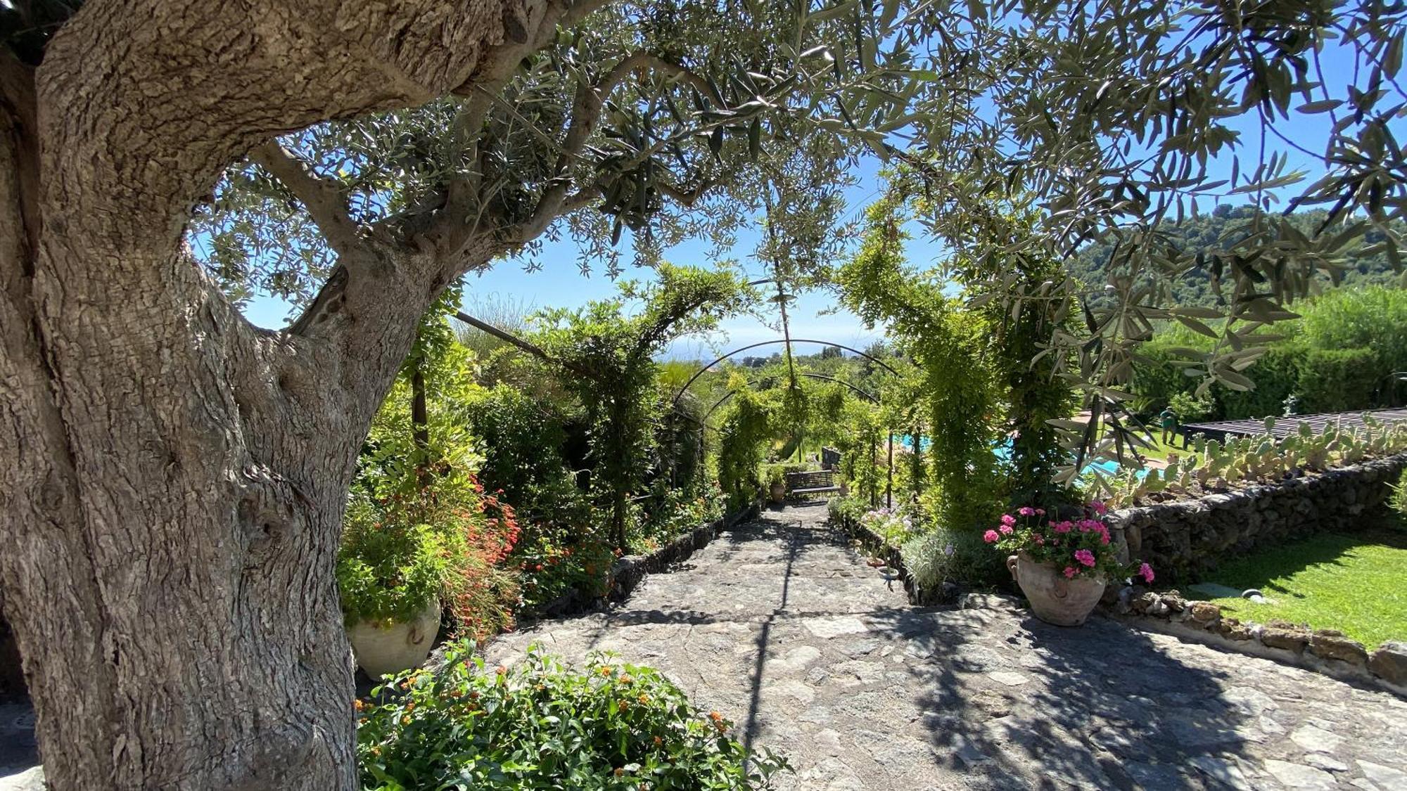 Il Palmento Dell'Etna Villa Trecastagni Kültér fotó