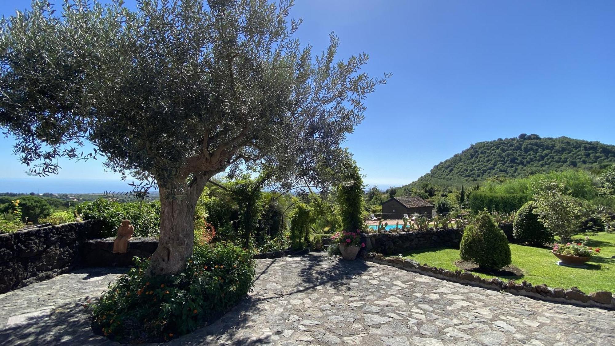 Il Palmento Dell'Etna Villa Trecastagni Kültér fotó