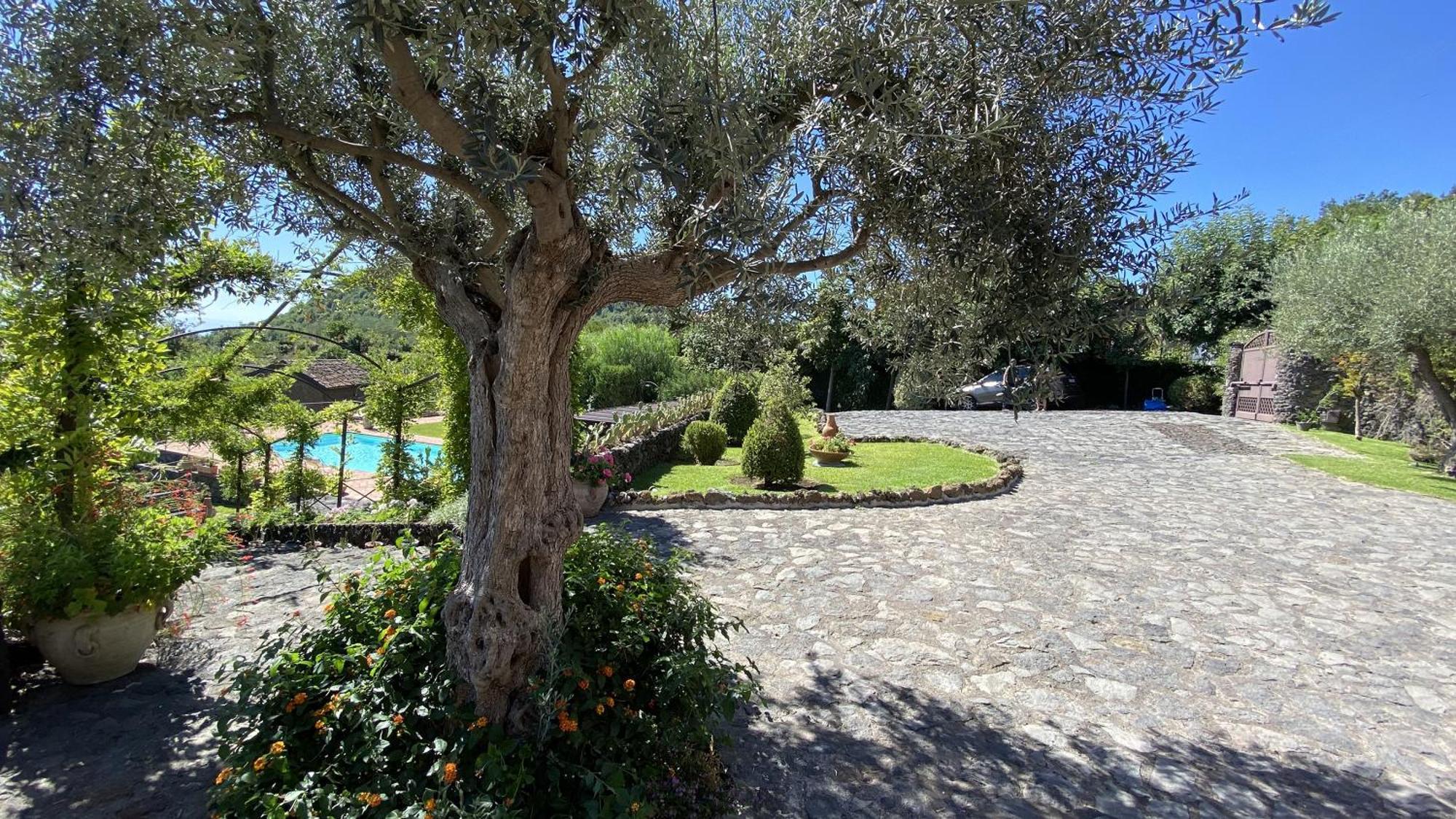 Il Palmento Dell'Etna Villa Trecastagni Kültér fotó
